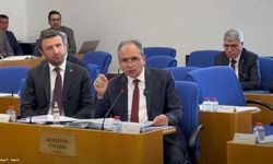 Erhan Usta'nın Uşak Milletvekili İsmail Güneş'in üzerine yürümesinin sebebi