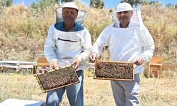 Gördes'te 7'den 70'e arıcılığı teşvik eden ve ağız tatlandıran uygulama