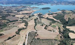 Gördes Barajı'nın çevresinde arıcılığı geliştirmek için bal ormanı oluşturuluyor
