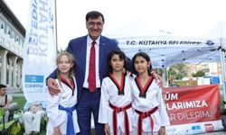 Kütahyalı minik Taekwondocular kıyasıya mücadele etti