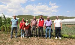 Uşak Karabol'da lahana, brokoli ve karnabahar üretimi yapanları ziyaret etti