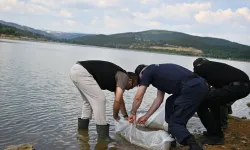 Uşak Göğem göletine binlerce yavru sazan balığı bırakıldı