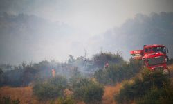 Uşak Eşme'deki yangın kontrol altına alındı