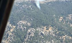 Muğla'da çıkan orman yangını söndürüldü