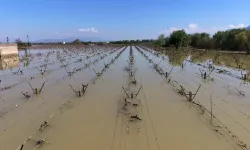Çevre sorunlarına karşı çalışma yapan gençlere 5 bin dolara kadar destek verecekler