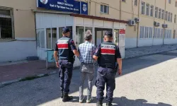 Uşak’ta Jandarmadan zehir taciri Operasyonu