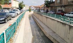 Uşak'ta kötü kokuya neden olan Dokuzsele deresinde temizlik