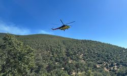 Sivaslı Eldeniz köyü yakınlarında çıkan yangına ekipler kısa sürede müdahale etti