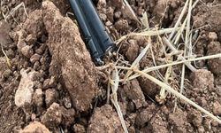 Ağaçbeyli ve Tatar arasındaki 150 metre fiber kabloyu çalanlar yakalandı