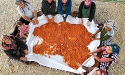 Uşaklı kadınlar geleneksel lezzet tarhanayla ekonomiye katkı sağlıyorlar