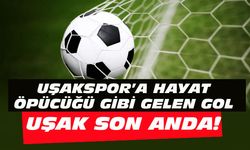 Aşigo'ya hayat öpücüğü gibi gelen gol...