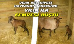 Uşak hayvanat bahçesine yılın ilk Cemresi düştü
