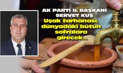 Uşak tarhanası, dünyadaki bütün sofralara girecek...