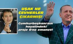 Cumhurbaşkanı'nın hayalindeki proje O'na emanet!