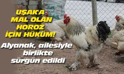 Alyanak, ailesiyle birlikte sürgün edildi