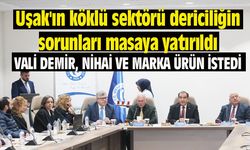 Uşak'ın köklü sektörü dericiliğin sorunları masaya yatırıldı