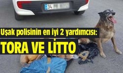 Uşak polisinin en iyi 2 yardımcısı: Tora ve Litto