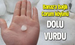 Banaz'a bağlı Corum köyünü dolu vurdu