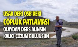 Çevreciler: Uşak Deri OSB'deki olaydan ders alınsın, kesin çözüm üretilsin