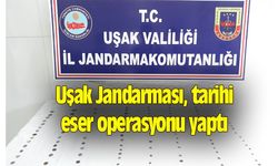 Uşak Jandarması, tarihi eser operasyonu yaptı