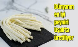 Dünyanın en iyi peyniri Uşak'ta üretiliyor
