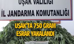 Uşak jandarması 750 gram esrar yakaladı