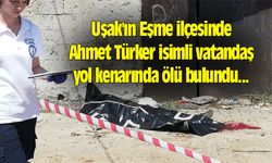 Uşak'ın Eşme ilçesinde yaşlı adam ölü bulundu