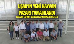 Uşak'ın yeni hayvan pazarı tamamlandı