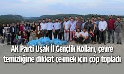 AK Parti Uşak İl Gençlik Kolları, çevre temizliğine dikkat çekmek için çöp topladı