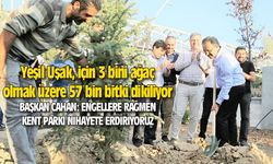 Yeşil Uşak, için 3 bini ağaç olmak üzere 57 bin bitki dikiliyor