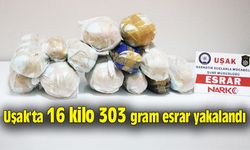 Uşak'ta 16 kilo 303 gram esrar yakalandı