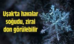 Uşak'ta havalar soğudu, zirai don görülebilir