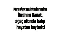 Karaağaç muhtarlarından İbrahim Kanat, ağaç altında kalıp hayatını kaybetti