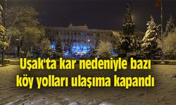 Uşak'ta kar nedeniyle bazı köy yolları ulaşıma kapandı