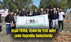 Uşak TEMA, Eşme'de 350 adet çamı toprakla buluşturdu