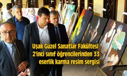 Uşak Güzel Sanatlar Fakültesi 2'inci sınıf öğrencilerinden 33 eserlik karma resim sergisi