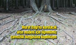 Murat Dağı'na kurulacak altın madeni için öğrenilmiş çaresizlik duygusuna kapılmayın