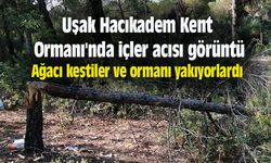 Uşak Hacıkadem Kent Ormanı'nda içler acısı görüntü