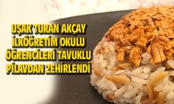 Turan Akçay İlköğretim okulu öğrencileri tavuklu pilavdan zehirlendiler