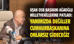 Halil Ağaoğlu, milletvekillerine patladı....
