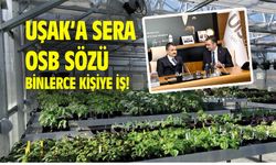 Uşak'a sera OSB kurulacak