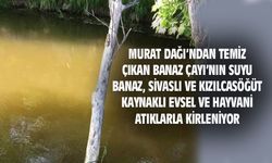 Murat Dağı'ndan tertemiz çıkan Banaz çayının suyu, evsel atıklarla kirleniyor
