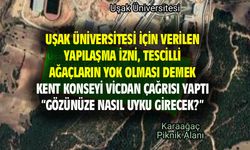 Uşak Üniversitesi'ndeki tescilli ağaçların yok olmaması için vicdan çağrısı