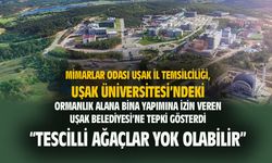 Uşak Üniversitesi'nin çevresindeki tescilli ağaçlar yok olabilir...