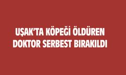 Uşak'ta köpeği öldüren doktor serbest bırakıldı