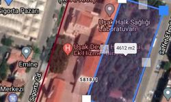 Uşak İl Sağlık Müdürlüğü'nün talebi ağaçların yok olmasına yol açabilir
