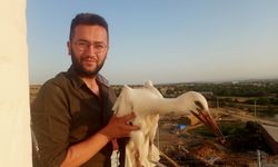 Kolonkaya'da yaralanan leyleği camiinin imam hatibi ile köylüler iyileştirdi