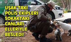 Uşak İl Emniyet Müdürlüğü'ne bağlı HAYDİ ekipleri, sokak hayvanlarını besliyor