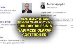 Mesut Apaydın'ı Fırıldak Ailesi'nin yapımcısı yaptılar!
