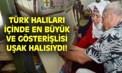 Türk halıları içinde en büyük ve en çok tanınanı Uşak halısıydı!